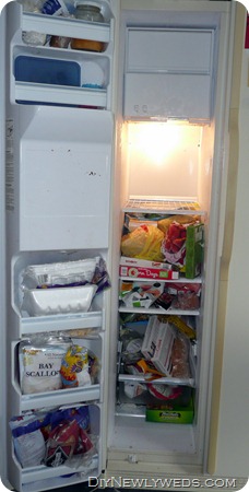 unorganized-freezer