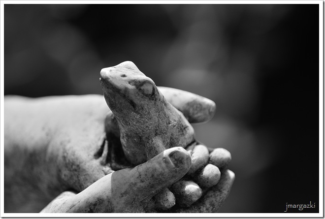 DSC_4900 DSC_4900