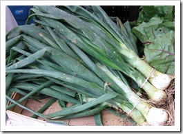 spring onions