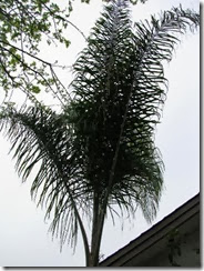 IMG_0010 IMG_0010