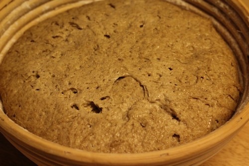 [einkorn-bread-sponge15%255B5%255D.jpg]