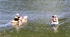 [both-kayaks-with-dogs6.jpg]