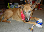 DSCN5829.JPG