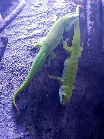 [aquarium27%255B2%255D.jpg]