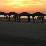 IMG_3381.JPG