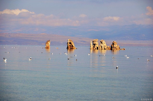 [110912LakeMono73.jpg]