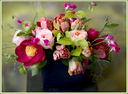 florali_wins00941 florali