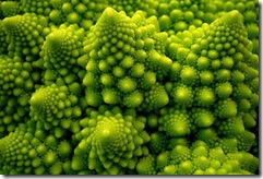 01 brocoli fractal