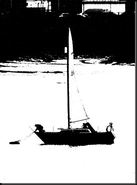 estuary 018 b&w