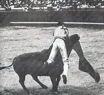 Joselito Cogida Bilbao 19-08-1914 001 Joselito Cogida Bilbao 19-08-1914 001