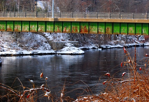 13. androscoggin river-kab