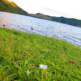 Rotorua_Lac_Okareka Rotorua_Lac_Okareka