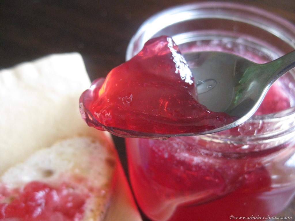 [spoonful%2520grape%2520jelly%255B7%255D.jpg]