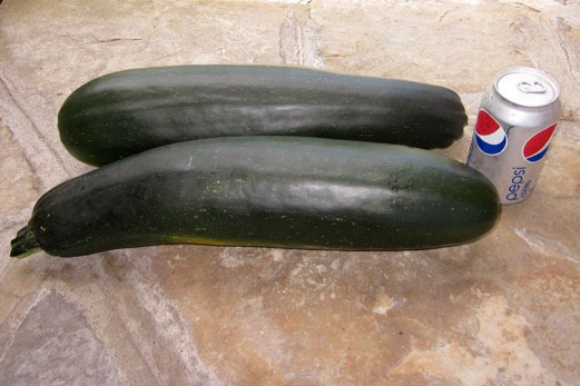 [Aug7%255B10%255D.jpg]