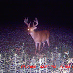 MDGC0249.JPG