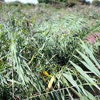 20100824_015_small.JPG