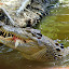 Yum Yum Lunch - Port Douglas, Australia