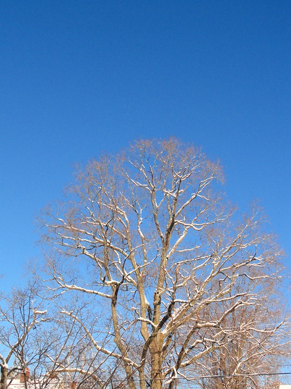 [DSC06044%255B5%255D.jpg]