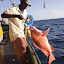 seychelles_04.jpg