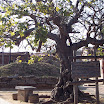 kinmen_061.jpg