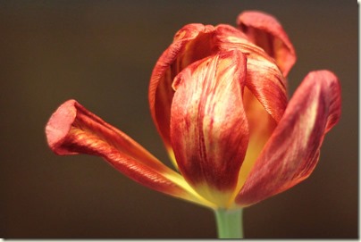 IMG_2674 IMG_2674