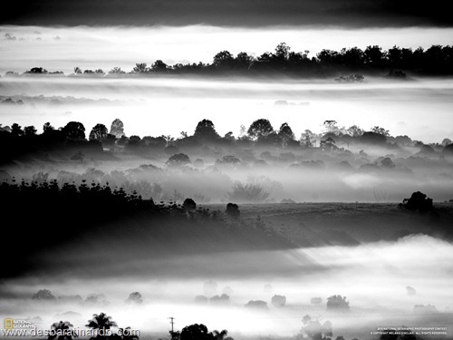 wallpapers national geographic desbaratinando (20) wallpapers national geographic desbaratinando (20)