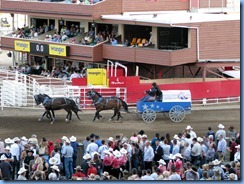 9561 Alberta Calgary Stampede 100th Anniversary - GMC Rangeland Derby & Grandstand Show - Chuckwagon Races