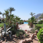 IMG_4084.JPG