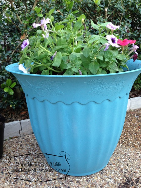 bestblueplanter.jpg Bestblueplanter