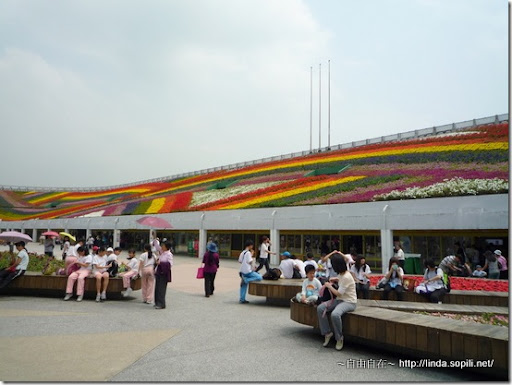 2010台北花博-爭艷館 2010台北花博-爭艷館
