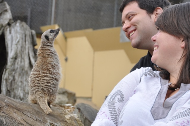 [DSC_0957%255B4%255D.jpg]