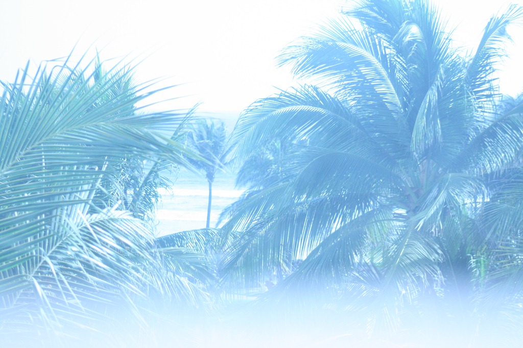 [IMG_6834%255B4%255D.jpg]