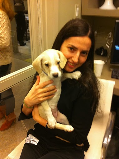Zenith Media's Dara Fishman, here holding Natasha, works hard to put Purina's concern for animal welfare into action. (See link to Natasha's adoption info at end of the post.)