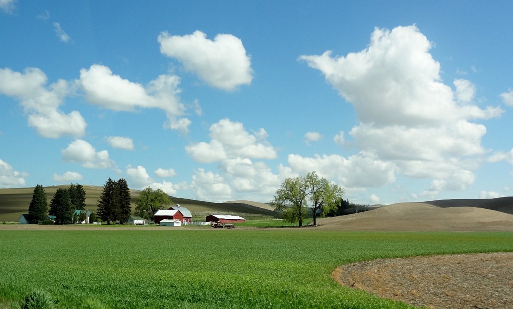 [Palouse%2520WA%252014%255B3%255D.jpg]