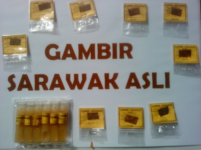 [Gambir%2520Sarawak%2520asli%255B3%255D.jpg]