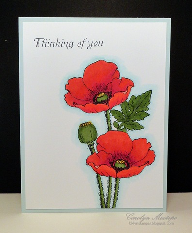 [poppies-thinking-of-you%255B4%255D.jpg]