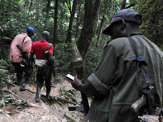 Des rebelles des FDLR (Forces démocratiques pour la libération du Rwanda) dans la forêt de Pinga dans l'Est de la RDC le 06/02/2009. Radiookapi.net
