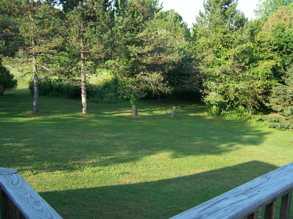 [100_2356%255B4%255D.jpg]