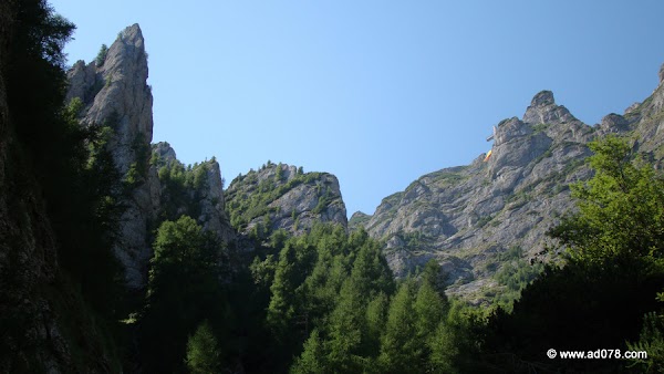 38.jpg 38.jpg