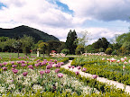Sprachaufenthalt Killarney