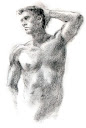 Majestic front bust