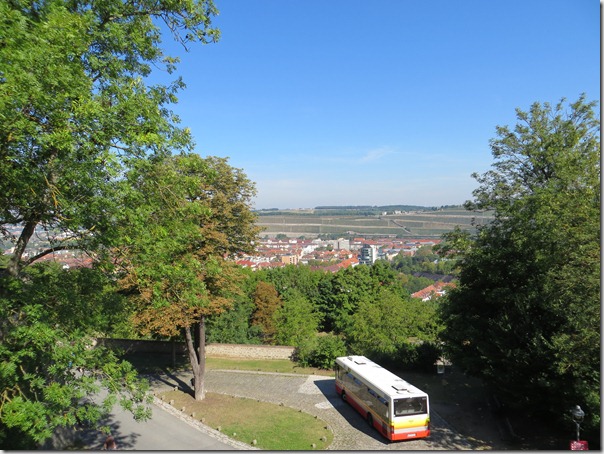 IMG_1393 IMG_1393