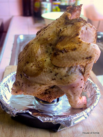 [Guinness%2520Beer%2520Can%2520Chicken%2520propped%2520up%255B3%255D.jpg]