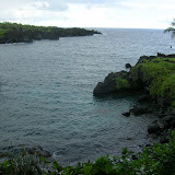 Road to Hana: Lone Palm Tree