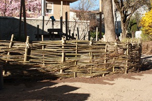 IMG_9577 IMG_9577