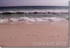 More Emerald Coast 022