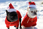 Is that Santa over there?