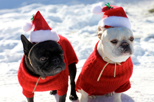 Is that Santa over there?