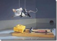 Mouse Mouse
