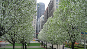 The Millennium Park